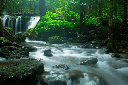 Agumbe 1