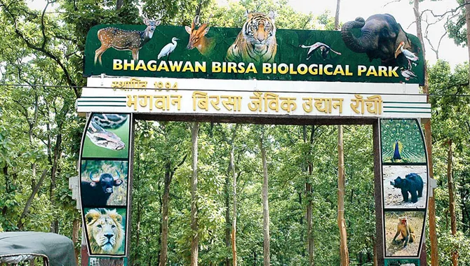 Birsa Zoological
