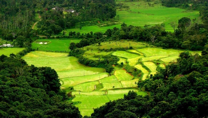 Coorg