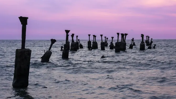 Kozhikode