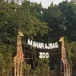 Maharajbagh Zoo