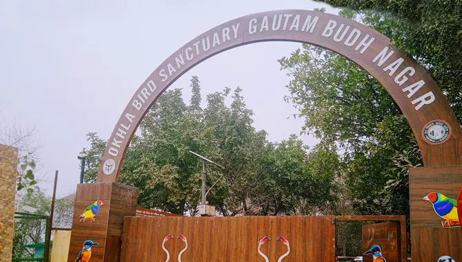 Okhla birdcentury