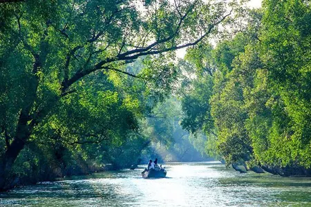 Sunderban 1