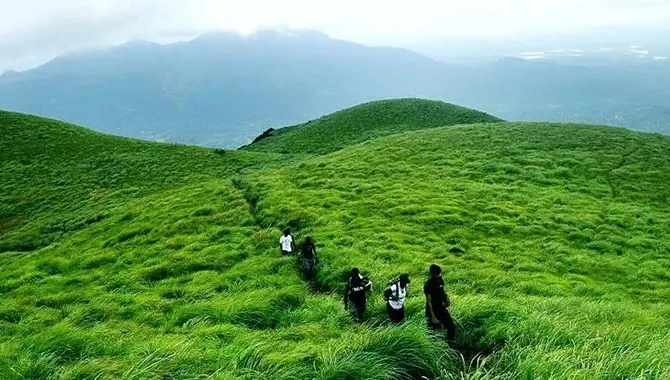 Wayanad 1