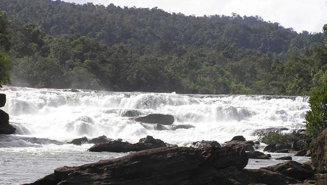 Zanzari ahemdabad