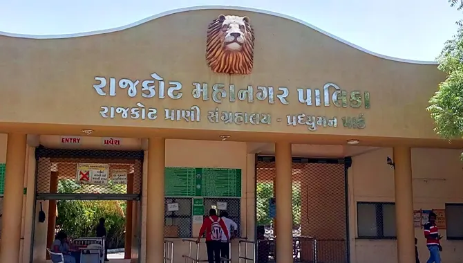 zoo 1