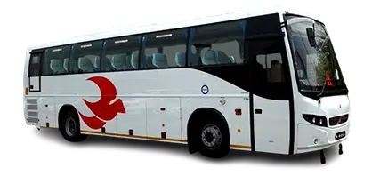 Bus46