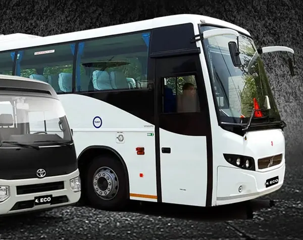 buses1