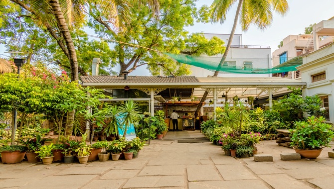 The Old House
