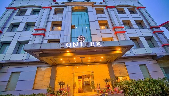 GK Conifer