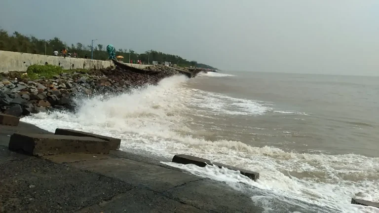 Uppada Beach_
