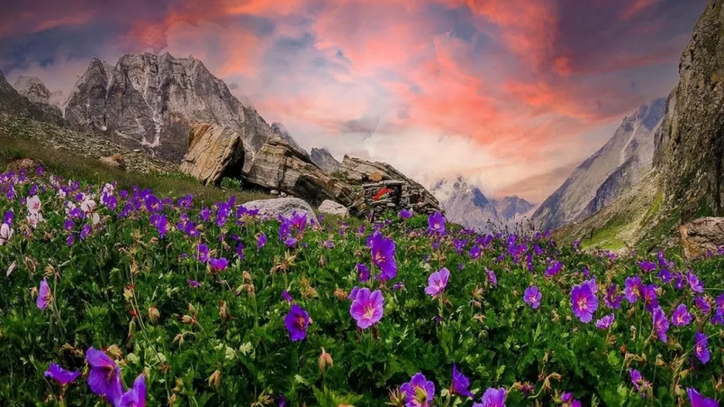 Valley of Flowers National Park: A Complete Travel Guide to Uttarakhand's Blooming Himalayan Paradise